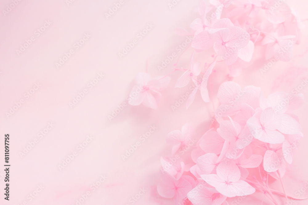 ピンクの花の背景