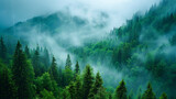 Tranquil Mountain Forest with Falling Rain
