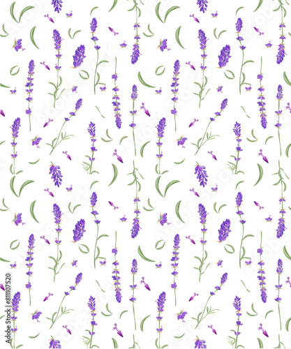 Seamless pattern with Lavender floral plants. Botanical and healthy thematic. Aromatherapy and alternative medicine. Tiled and tillable, Wallpaper, wrapping paper design, textile, scrapbooking.
