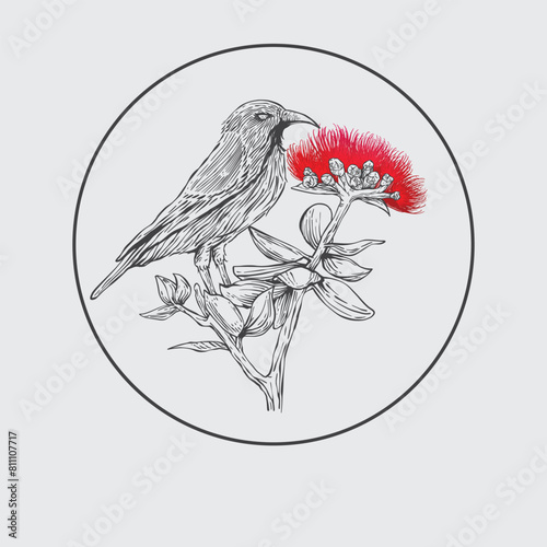 hand drawn lehua bird and flower sketch in engraving style Vector Illustration