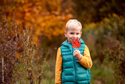 Autumn portrait of cute little boy with maple leaf in the park