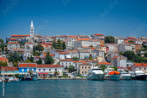 Wallpaper Mural Picturesque coastal Croatia, Rovinj town viewed from water, featuring traditional architecture Torontodigital.ca
