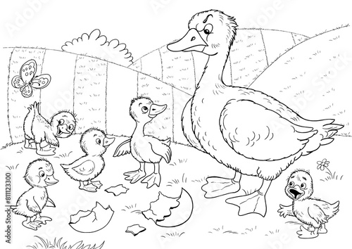 Ugly duckling. Fairy tale. Coloring page. Coloring book. Illustration for children. Cute and funny cartoon characters