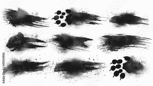 Scratches and marks caused by claws on animals. Flat style icon isolated on white background. Animal claw scratches include those from a cat, tiger, lion, dog, jaguar, bear, puma, leopard, bear photo