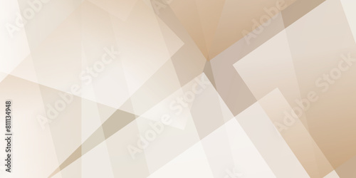 Geometric multicolored intersecting lines. abstract interior wall with polygonal pattern. brown color background abstract art vector. ivory modern abstract wide banner with geometric shapes.