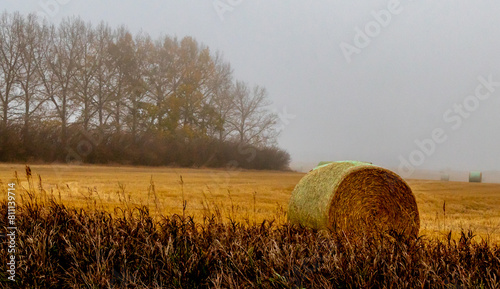Rocky View County, Alberta, Canada