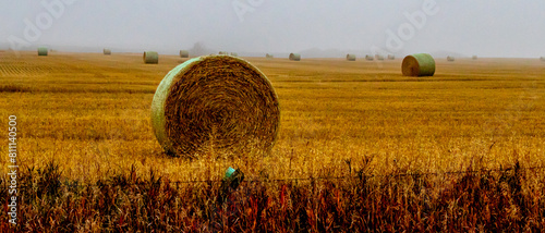 Rocky View County, Alberta, Canada