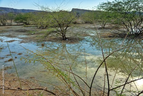 Картината върху платно Hydrology, lymnology