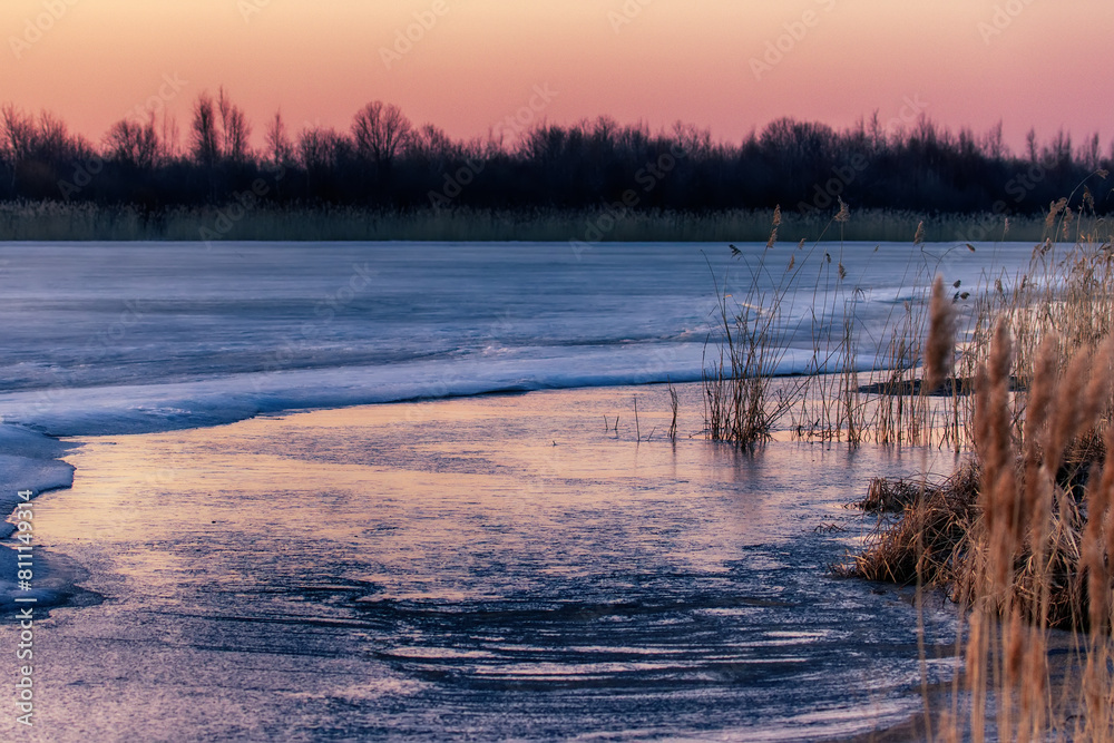 The north-eastern European river after a frosty winter. The ice began to melt, young shore ice, the state of the ice a week before the ice break (ice-boom). Aurora, sunrise colors on a spring morning