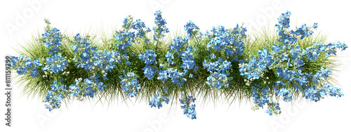 Top view flower blooming beautify row on transparent backgrounds 3d rendering png photo