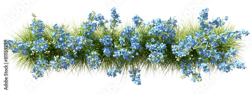 Foto Top view flower blooming beautify row on transparent backgrounds 3d rendering pn