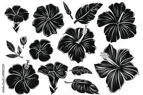 Flower Silhouette. Set of Hibiscus Silhouettes with Nature and Leaf Icons