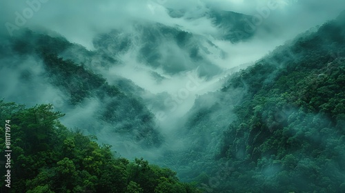 Misty rainforest view in the morning. © pengedarseni