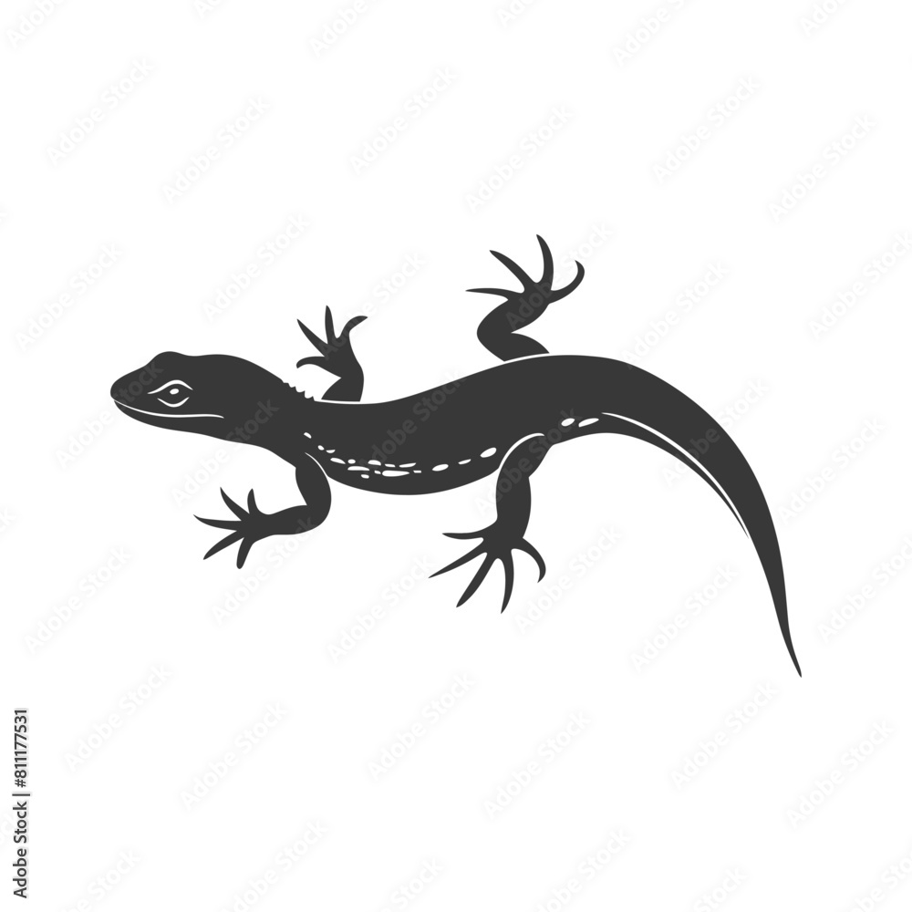 Naklejka premium Silhouette salamander animal black color only