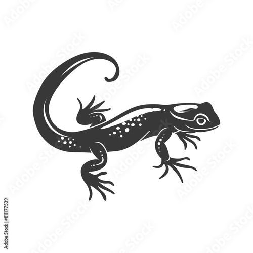 Silhouette salamander animal black color only