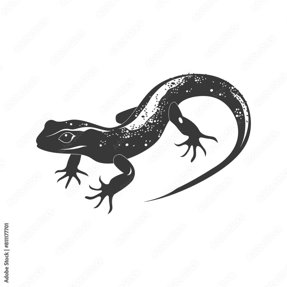 Silhouette salamander animal black color only