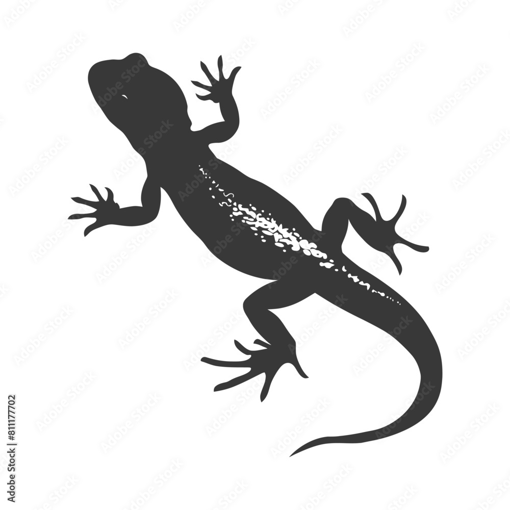 Silhouette salamander animal black color only