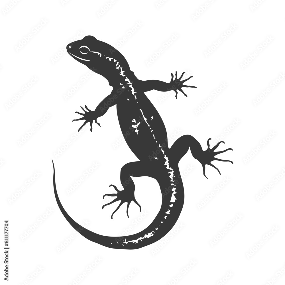 Naklejka premium Silhouette salamander animal black color only