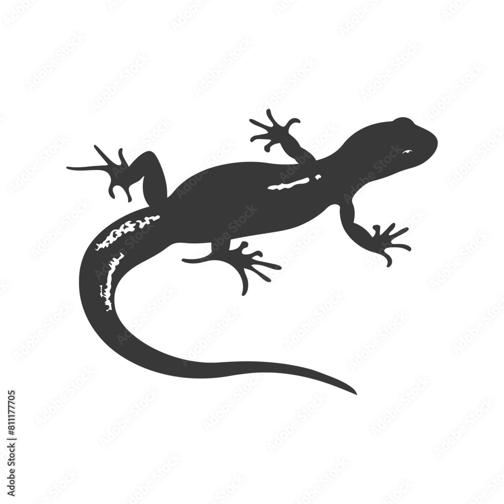 Silhouette salamander animal black color only Silhouette salamander animal black color only
