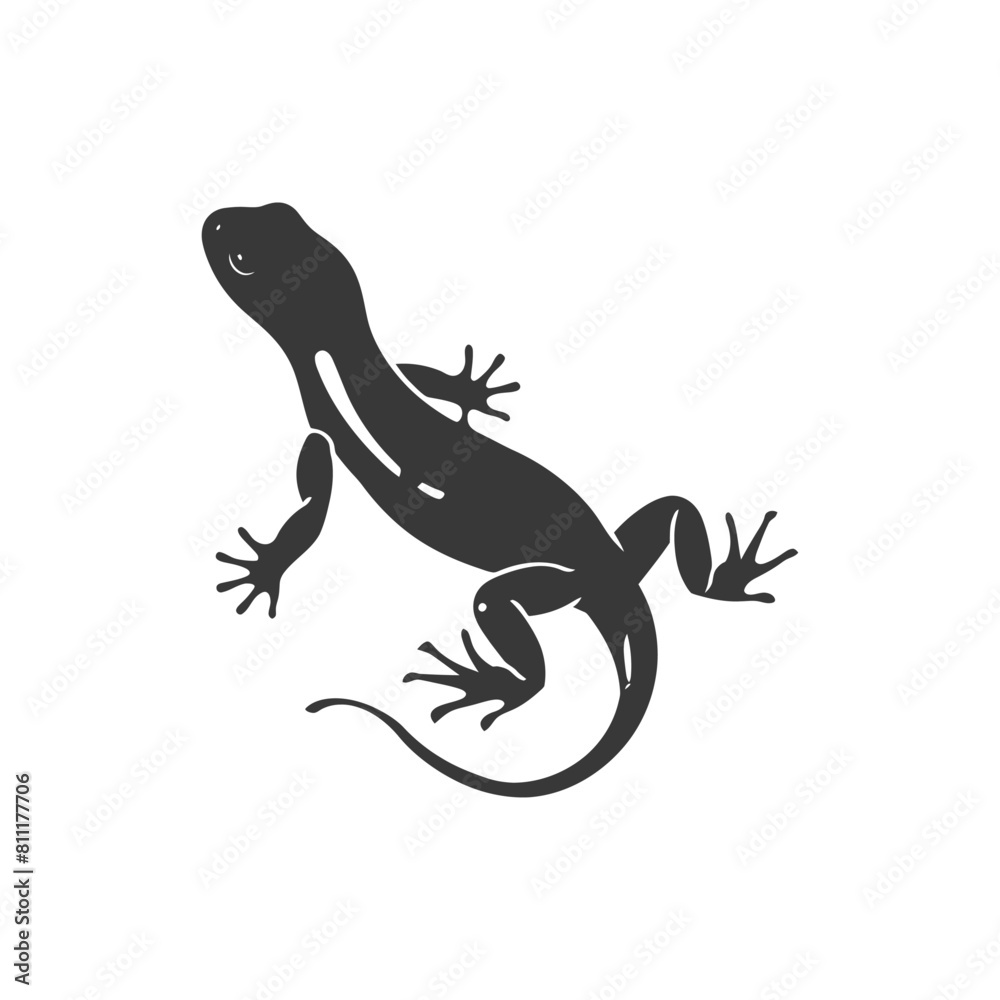 Fototapeta premium Silhouette salamander animal black color only