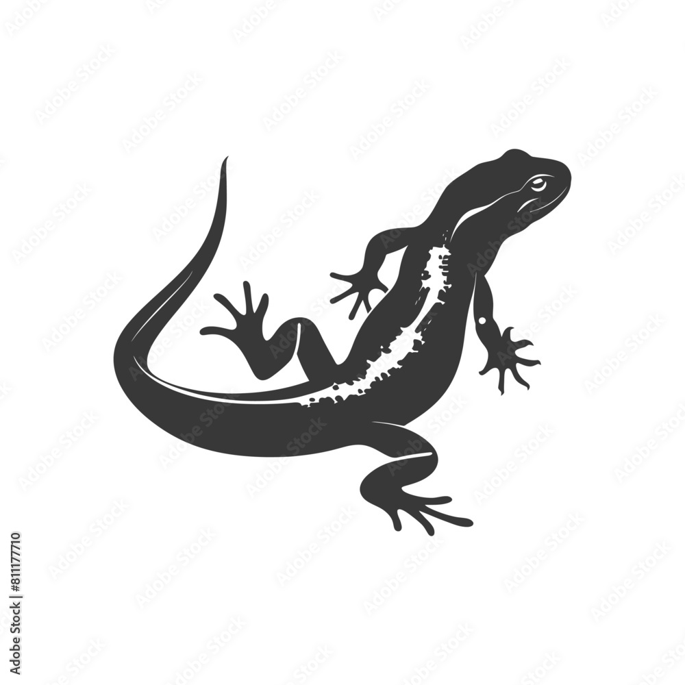 Naklejka premium Silhouette salamander animal black color only