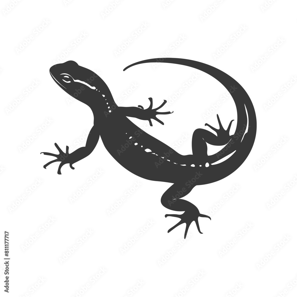 Fototapeta premium Silhouette salamander animal black color only