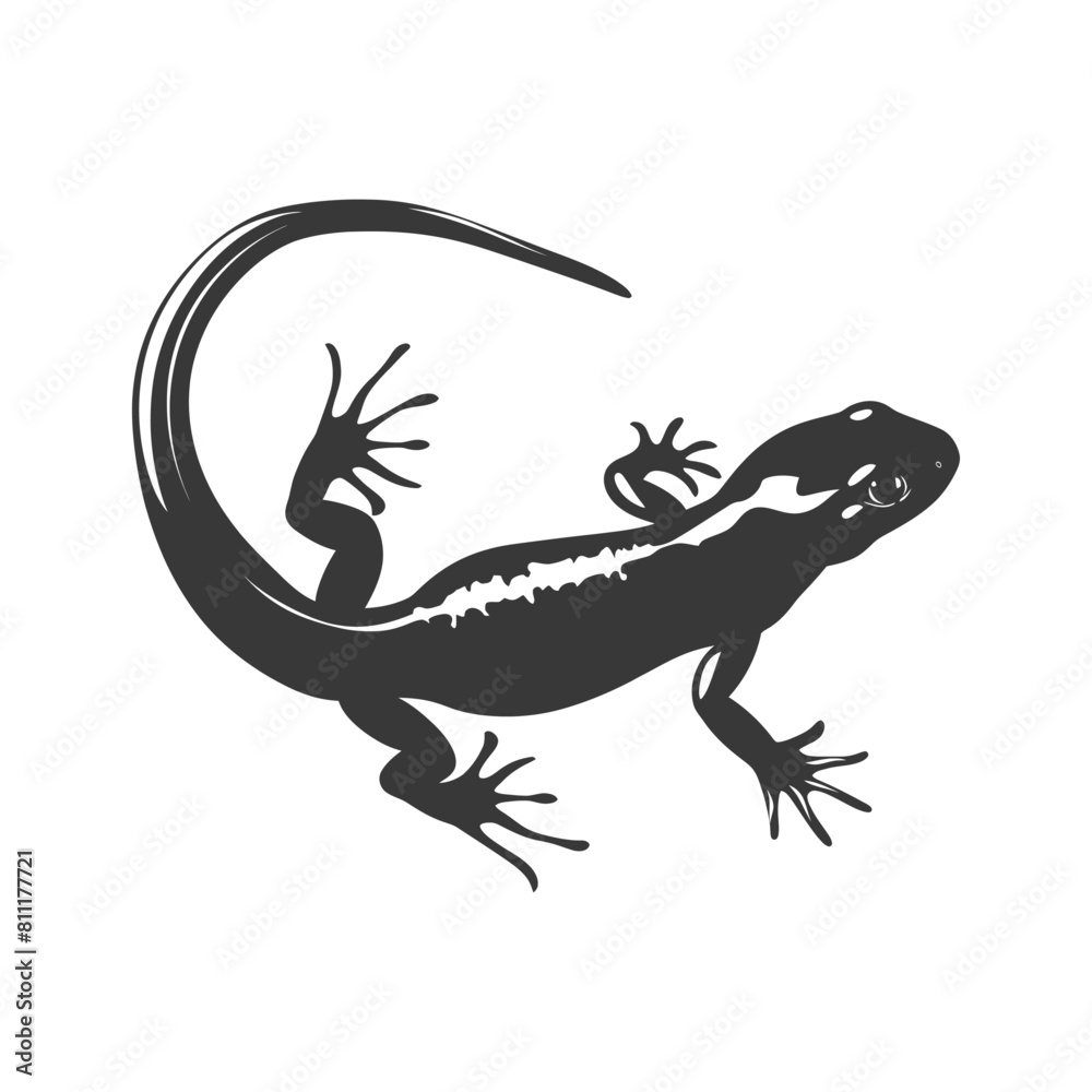 Silhouette salamander animal black color only Silhouette salamander animal black color only