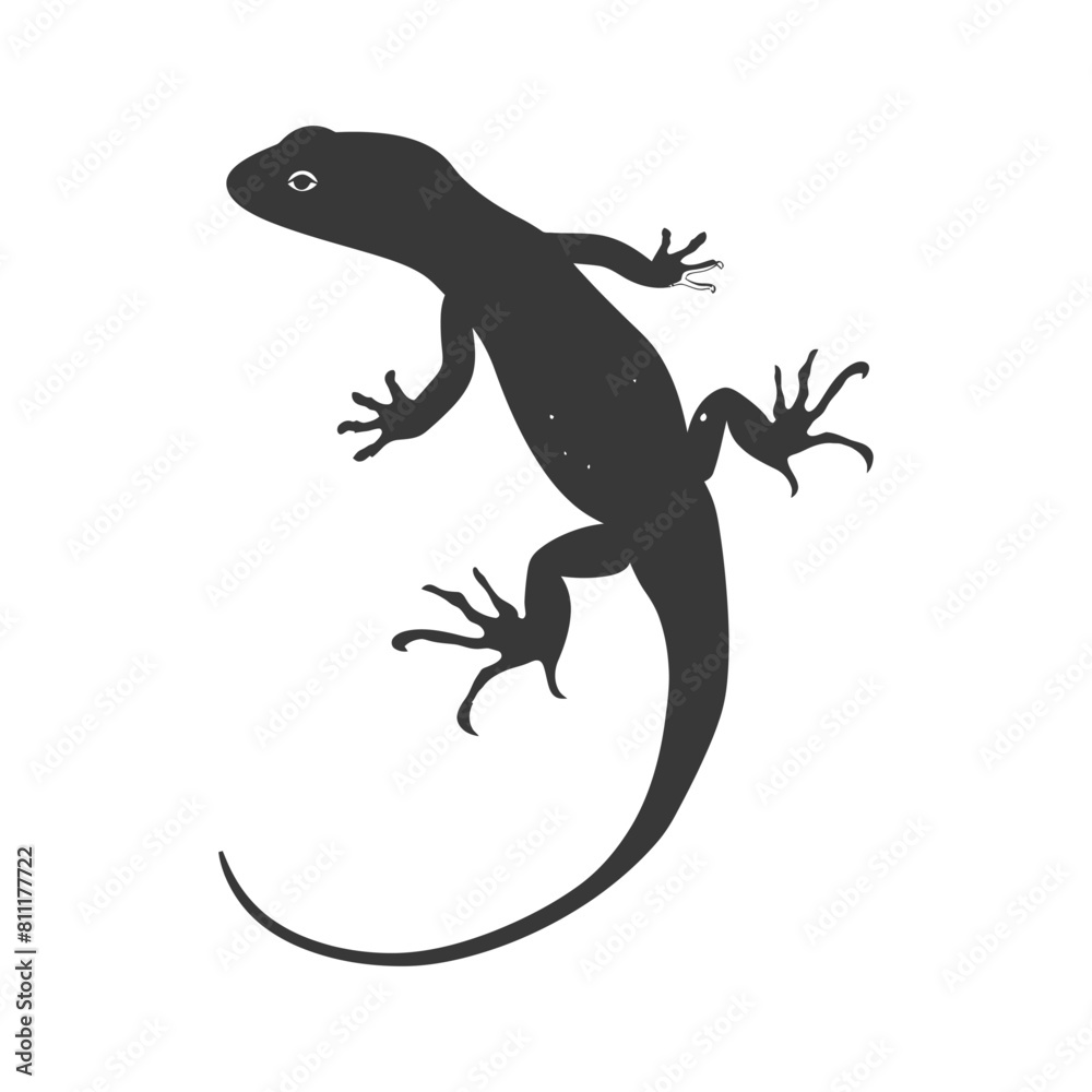 Naklejka premium Silhouette salamander animal black color only