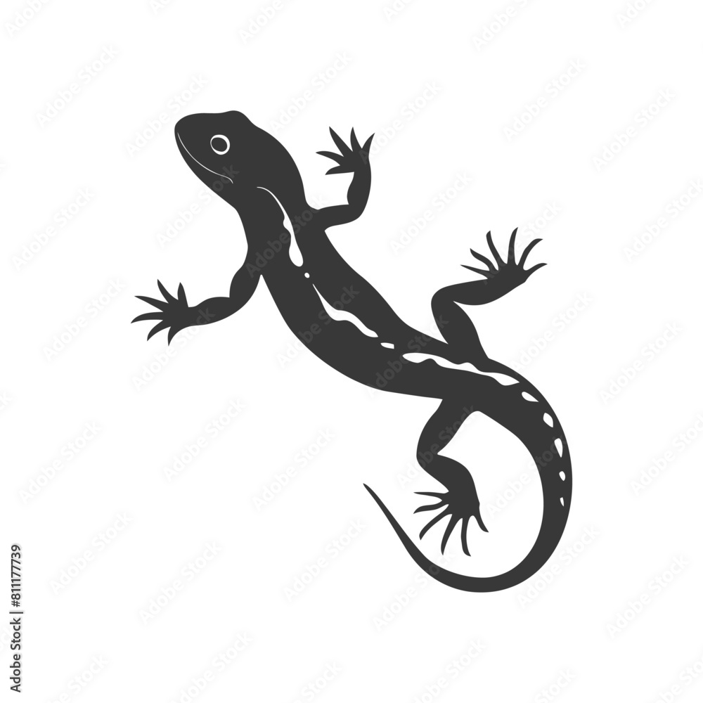 Naklejka premium Silhouette salamander animal black color only