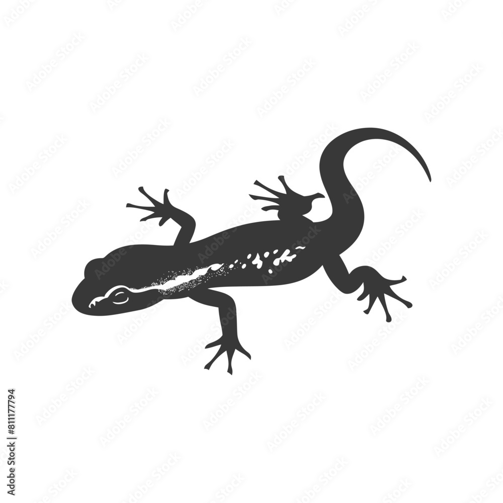 Naklejka premium Silhouette salamander animal black color only