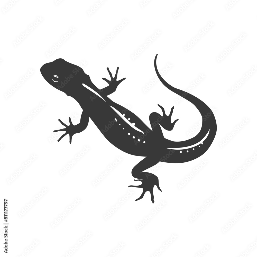 Naklejka premium Silhouette salamander animal black color only