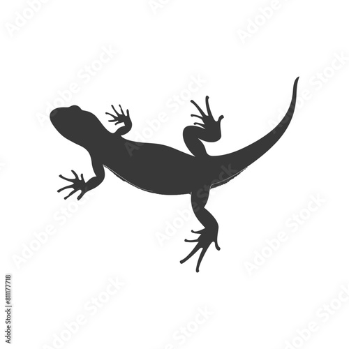 Silhouette salamander animal black color only