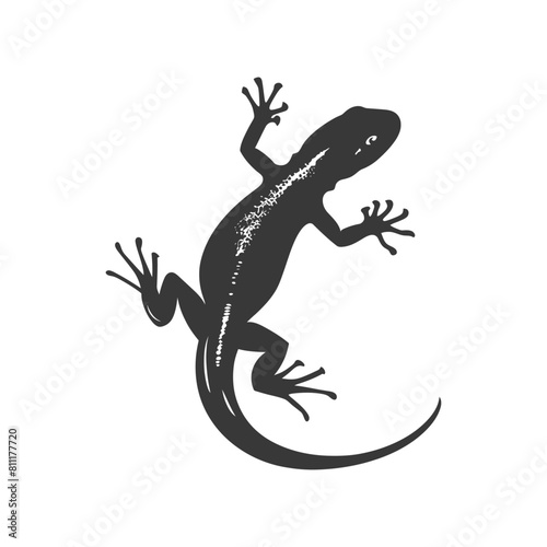 Silhouette salamander animal black color only