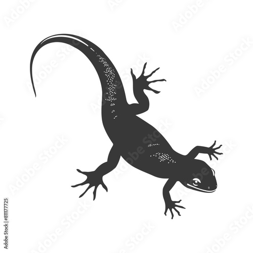 Silhouette salamander animal black color only