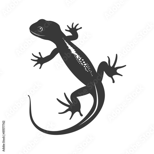 Silhouette salamander animal black color only © NikahGeh