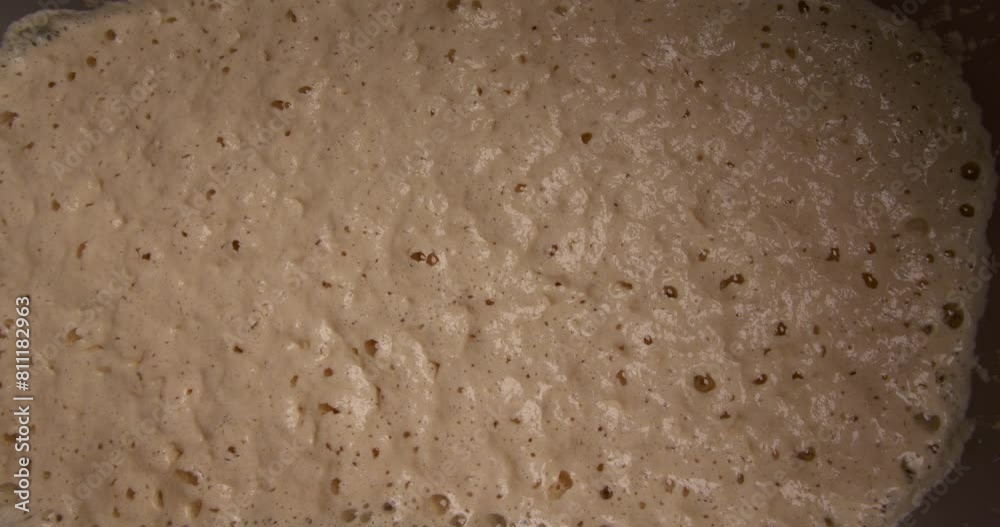 a barrel of fermenting sourdough for baking bread in an artisan bakery.