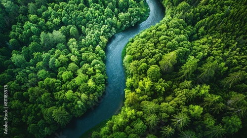 Aerial View of Meandering River Through Dense Jungle © pengedarseni