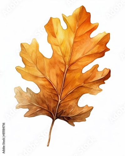 The image shows a watercolor painting of an autumn leaf. The leaf is orange and yellow, with a few green veins. It is on a white background.