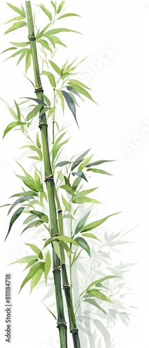 A watercolor painting of bamboo plants with green leaves and long  slender stems. The plants are arranged in a vertical orientation  with the leaves overlapping each other to create a sense of depth
