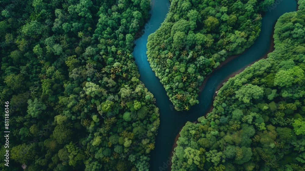 Aerial View of Meandering River Through Dense Jungle Aerial View of Meandering River Through Dense Jungle