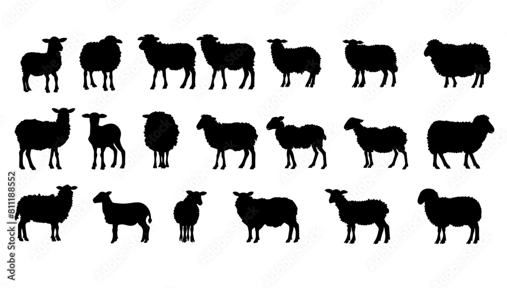 Set Sheep silhouette vector illustration. Animal farm icon and agriculture goat. Symbol mammal collection and cut out sign. Drawing sheep logotype farming. Set Sheep silhouette vector illustration. Animal farm icon and agriculture goat. Symbol mammal collection and cut out sign. Drawing sheep logotype farming.