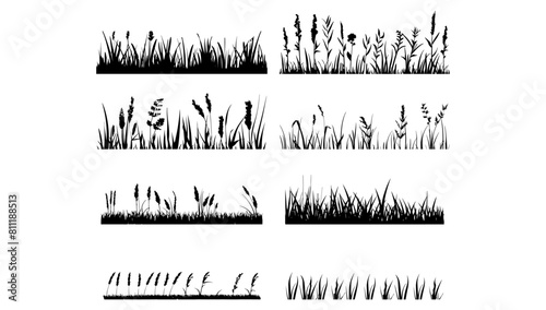 Vector set of black grass silhouettes on white background. Nature illustration summer design and garden horizontal botany. Meadow flower cut out and organic landscape sketch. Drawing border element