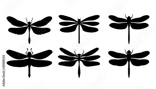 Set of dragonfly black silhouette on white background. Insect vector illustration isolated graphic. Collection drawing cut out and element cartoon decoration clip art.