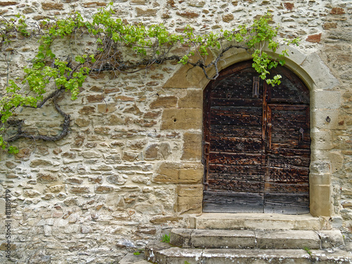 Old stone wall with an old wooden door and a vine climbing on it, two short and wide stone stairs leading to the door