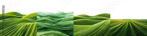 smooth green stripes on isolated on transparent background png photo