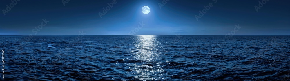 Moonlit Night Over the Sea Surface Moonlit Night Over the Sea Surface