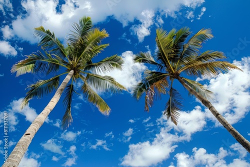 two palm trees reaching for the sky, blue sky with white clouds. tropical vibe, summer mood, vibrant colors