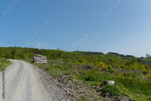 View to the mountain called Bollerberg near the german city Hallenberg