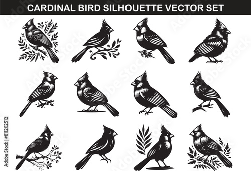 Cardinal Bird Silhouette Vector Illustration set