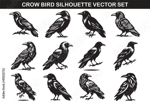 Crow Bird Silhouette Vector Illustration set ©  designermdali
